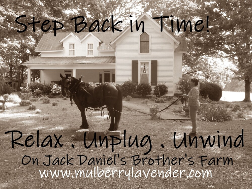 Cozy Cottage at Lavender Farm near Jack Daniel's Distillery, with