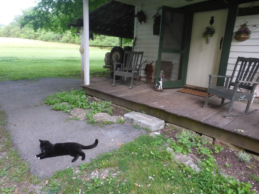 Cozy Cottage at Lavender Farm near Jack Daniel's Distillery, with