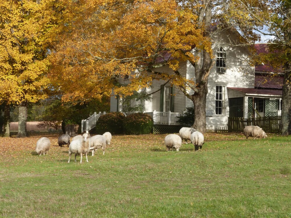 Cozy Cottage at Lavender Farm near Jack Daniel's Distillery, with
