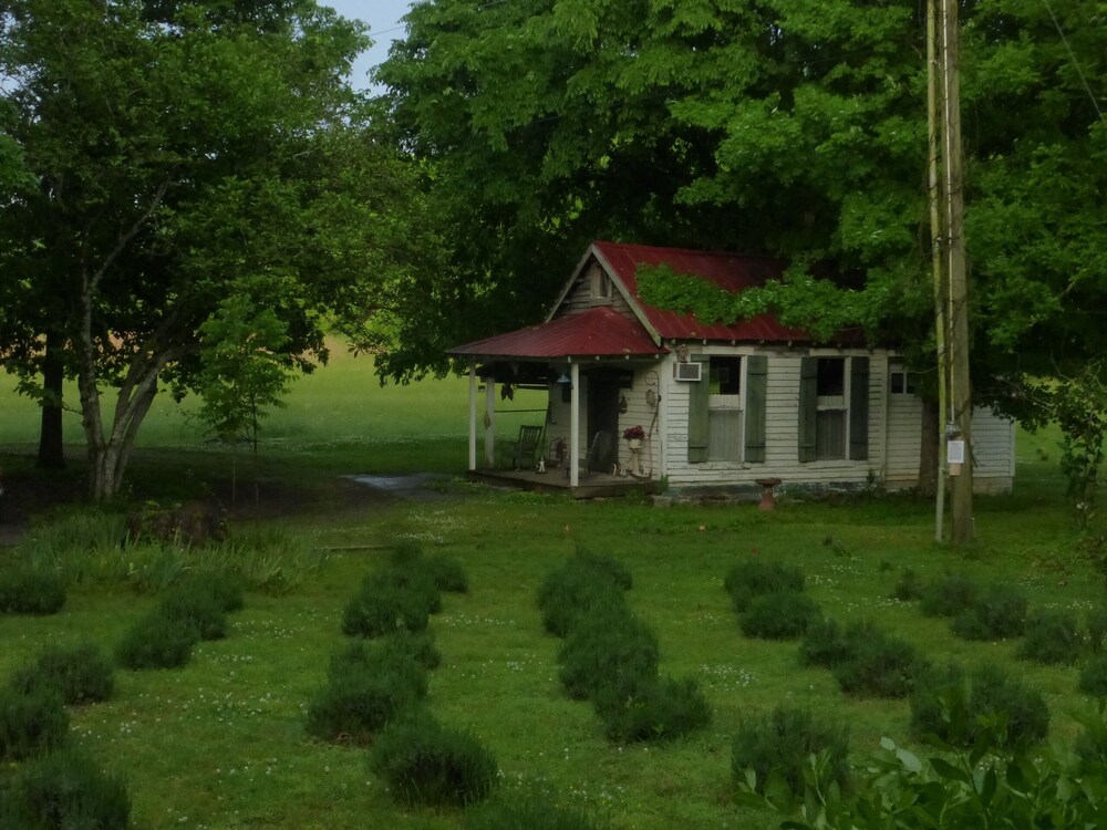 Cozy Cottage at Lavender Farm near Jack Daniel's Distillery, with