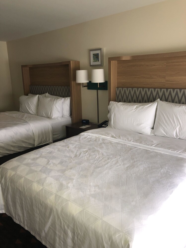 Holiday Inn Hotels and Suites Mount Pleasant, an IHG Hotel