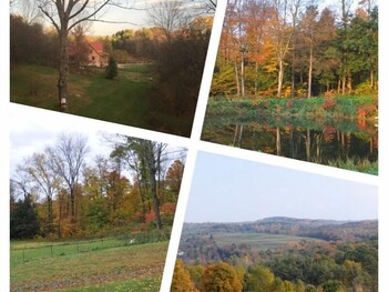 Village of st johnsville new york Village of st johnsville new york