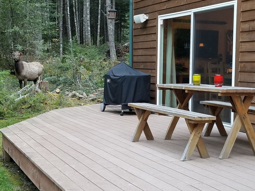 Cozy Studio Apartment Near Crystal Mtn Ski Resort & Mt Rainier National