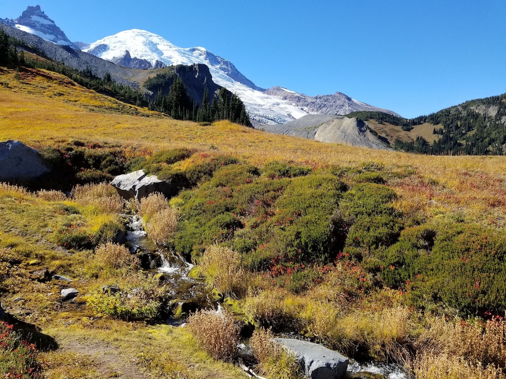 Cozy Studio Apartment Near Crystal Mtn Ski Resort & Mt Rainier National