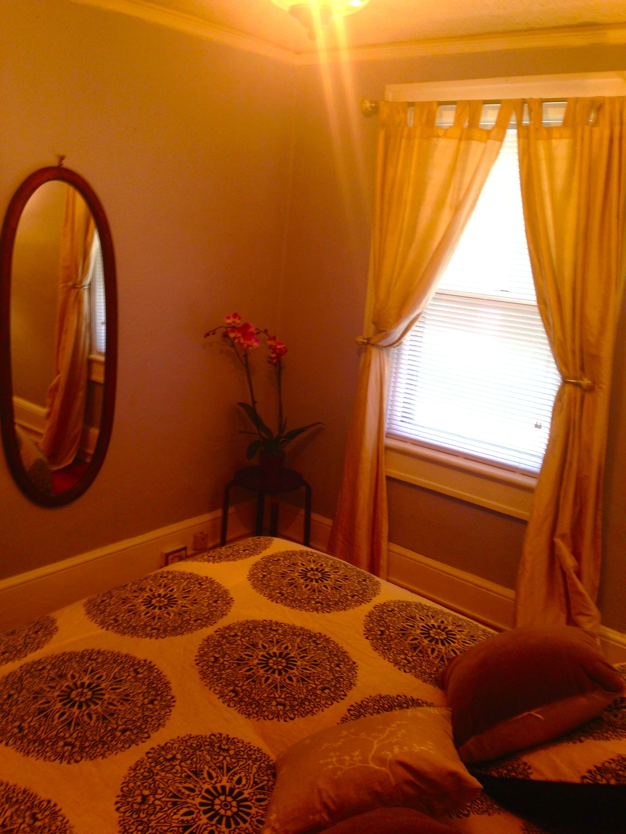 Close To Everything Asheville Small Deck Wooded Trails To Unca