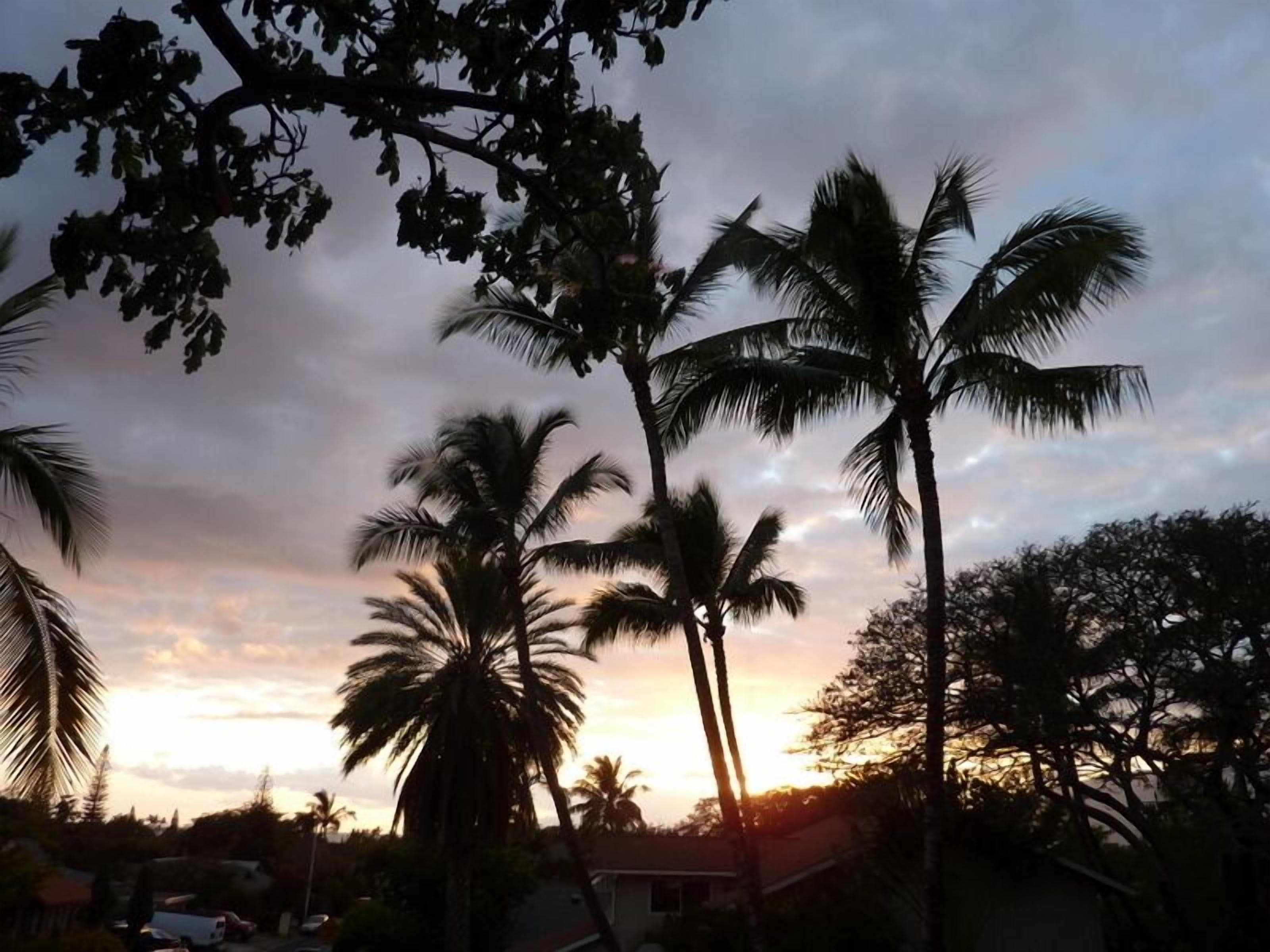 Cozy Maui 'treehouse' With Lovely Views and Amenities in Kihei, United States