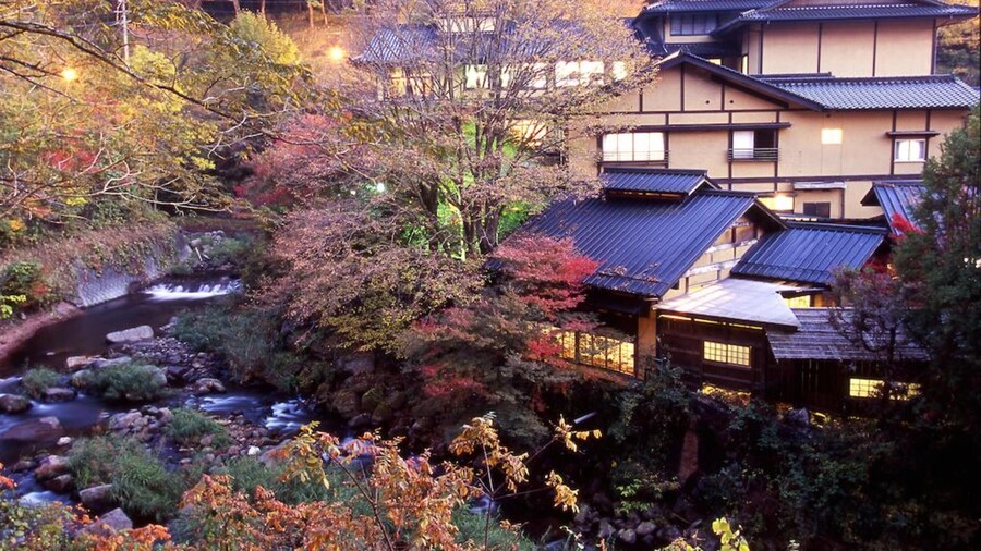 Kurokawa Onsen Yumerindo