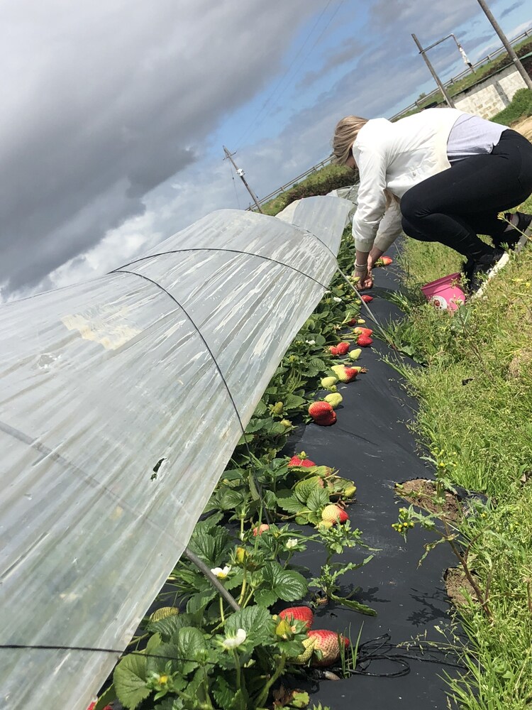 Foto - Foools Inn - Trendy Rooms available in the Heart of Sea Point!