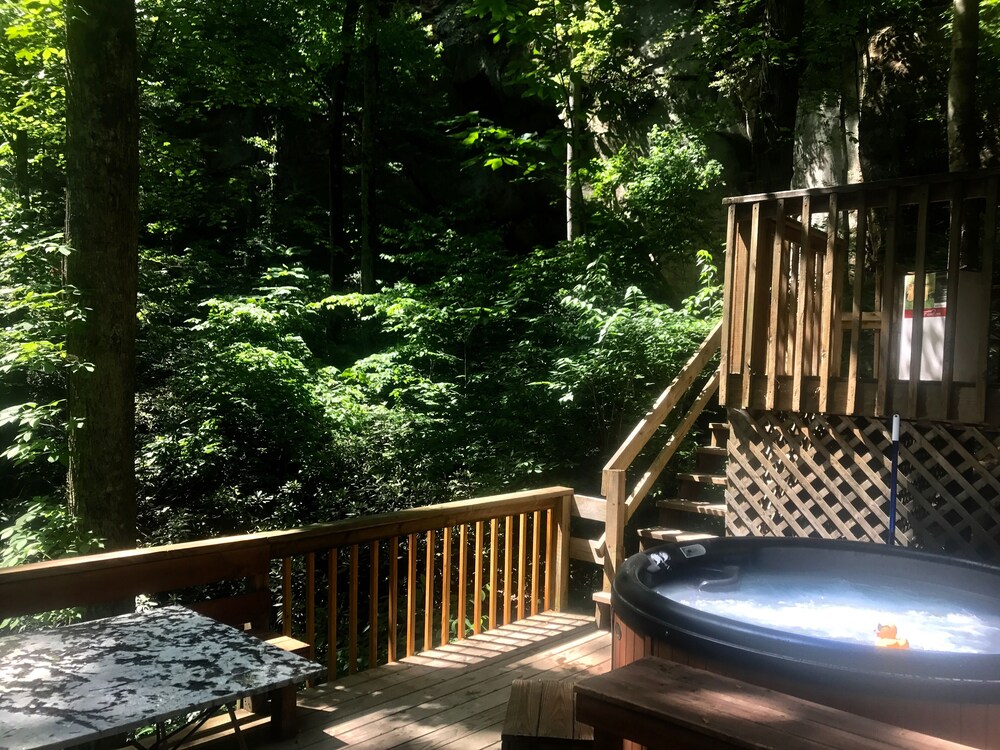 Secluded Red River PetFriendly Cabin on 3 acres (Serenity Falls