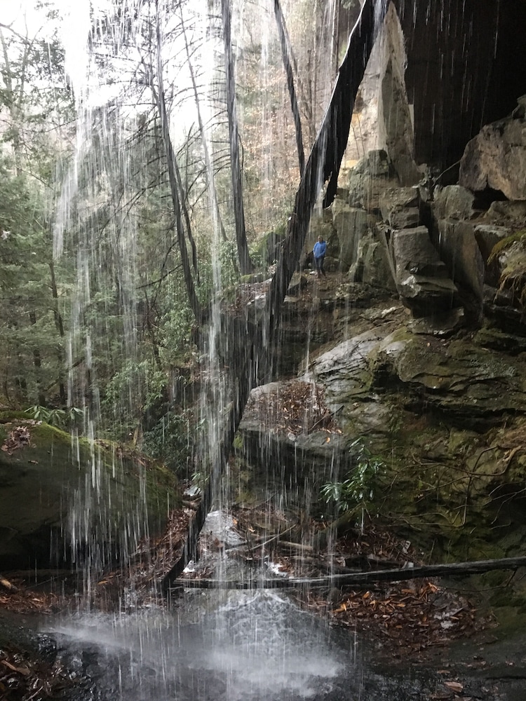 Secluded Red River Gorge Pet-friendly Cabin on 3 Acres in ...