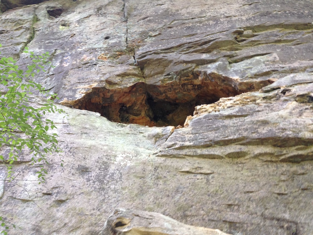 Secluded Red River PetFriendly Cabin on 3 acres (Serenity Falls) in Campton Best Rates