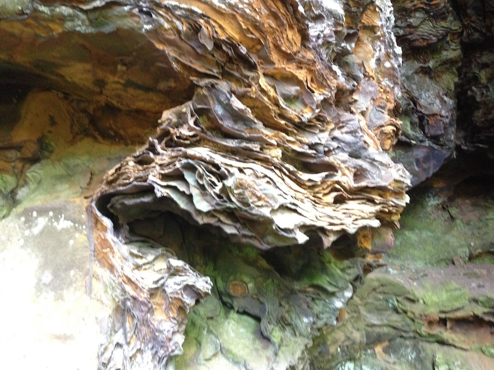 Secluded Red River Petfriendly Cabin on 3 Acres in Campton Best Rates & Deals on Orbitz