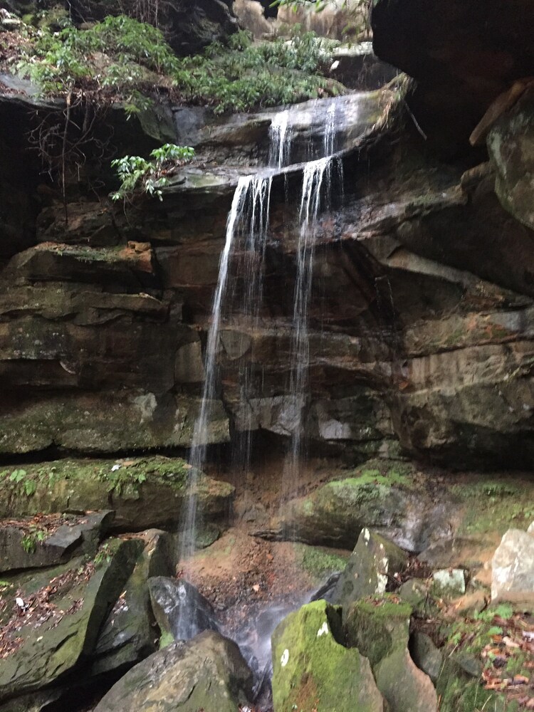 Secluded Red River Gorge Pet-friendly Cabin on 3 Acres in ...