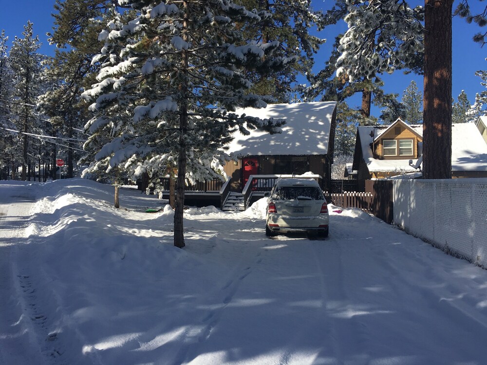 Cozy Cabin With Wifi Sleeps Up To 6 Quite St With Big Trees