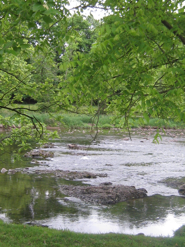 Riverfront home on South Holston River Perfect for Fishing, Hiking, Relaxing