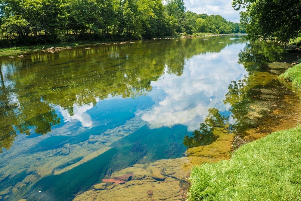 Riverfront home on South Holston River Perfect for Fishing, Hiking, Relaxing