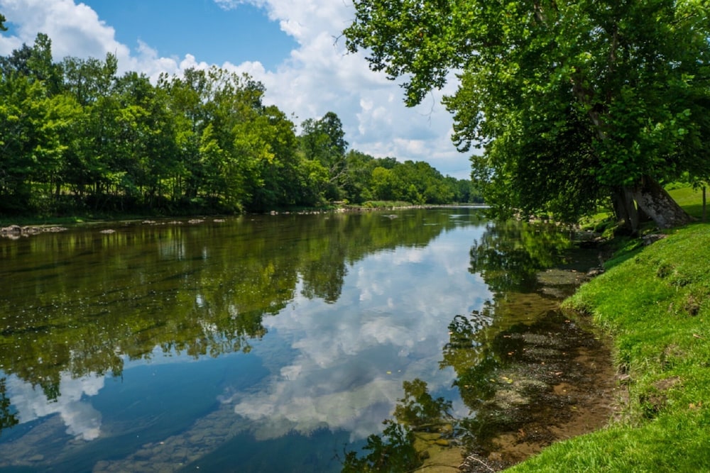 Riverfront home on South Holston River Perfect for Fishing, Hiking, Relaxing