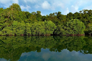 Bann Makok Reviews Photos Rates Ebookerscom - 