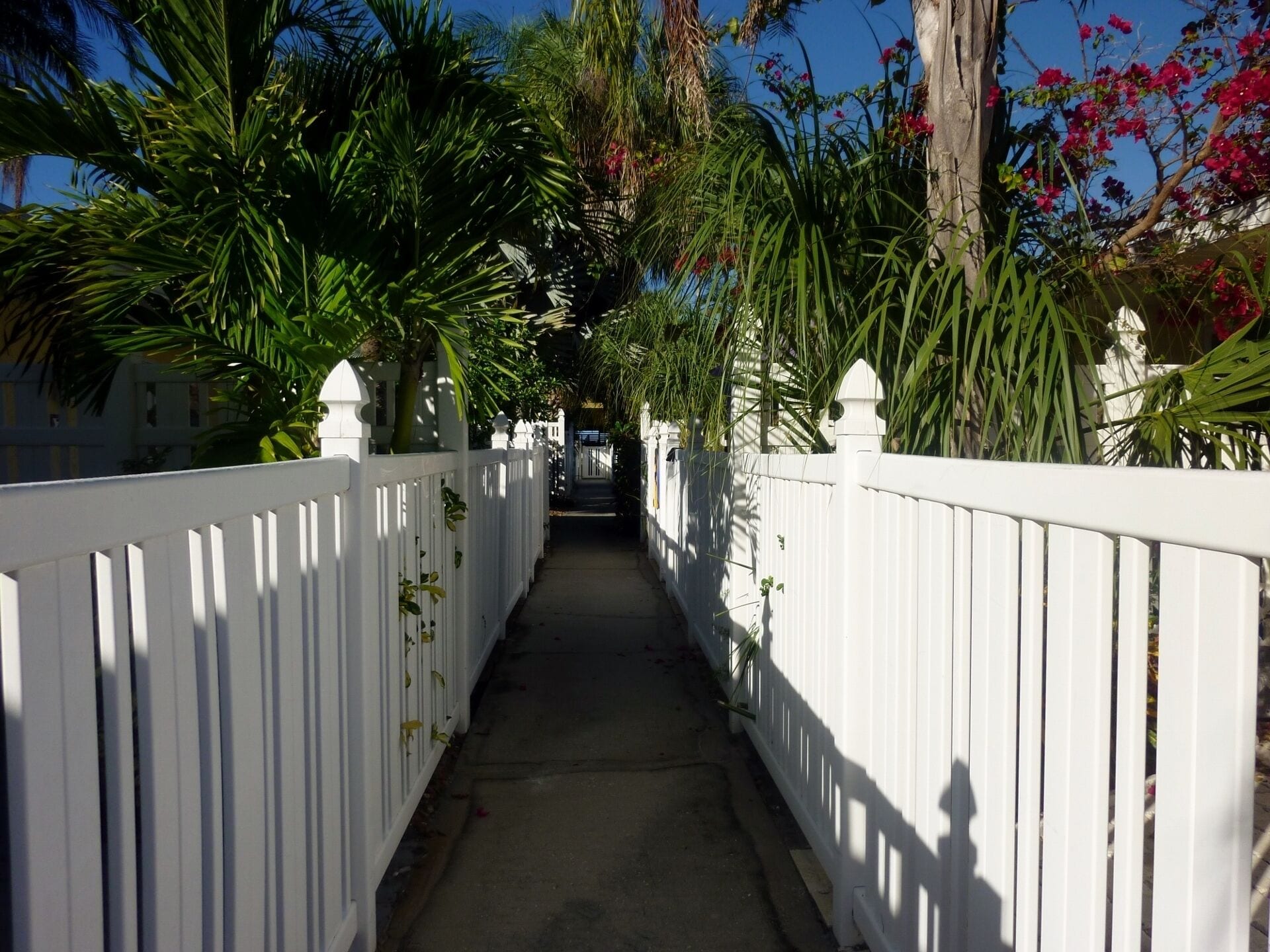 Sea Pirate  #8, Family Friendly Cottage By The Sea on Anna Maria Island in Sarasota, United States