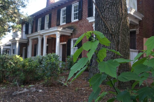 Savannah Pet Friendly Hotels From 59 Carriage House Historic Savannah Hgtv Inspired Remodel Dog Friendly