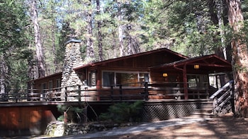 Log Cabin Nestled In The Pine Trees In Yosemite National Park