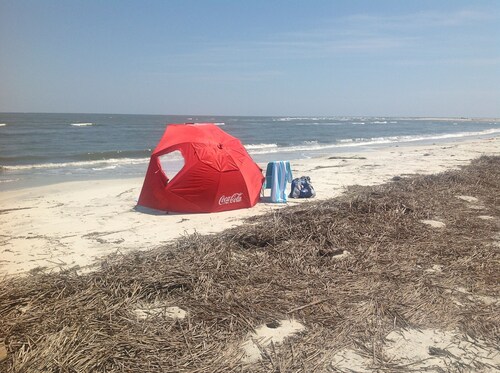 Hunting Island Beach Hotels The Best Beaches In World Hotels Near Hunting Island State Park Beaufort Top 10 By