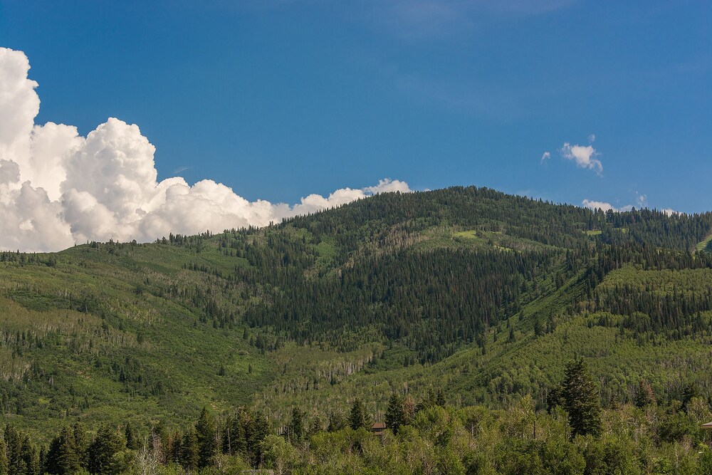 Newly renovated 775sqf 1 BDR  (adjacent to a studio 360sqf can be sold as 2 BDR)