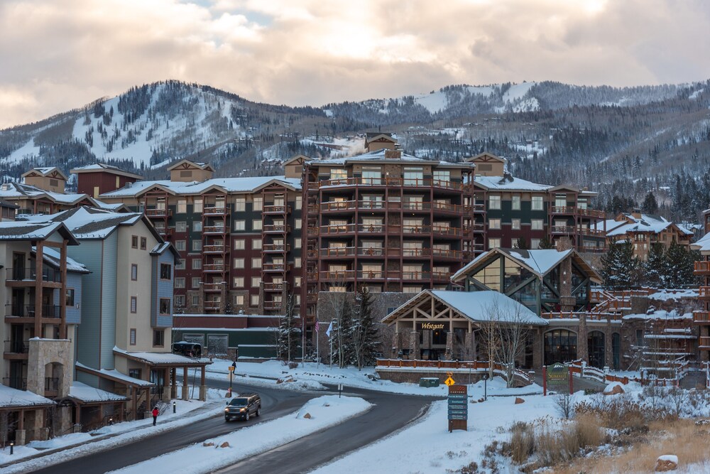 Newly renovated 775sqf 1 BDR  (adjacent to a studio 360sqf can be sold as 2 BDR)