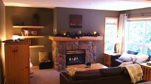TV, fireplace, DVD player, books