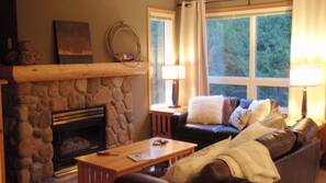 TV, fireplace, DVD player, books