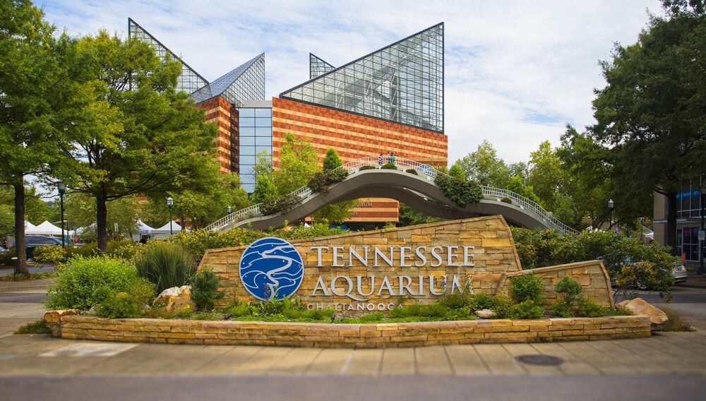 Unit H | Vacation On The TN River! en Chattanooga: Aprovecha tarifas