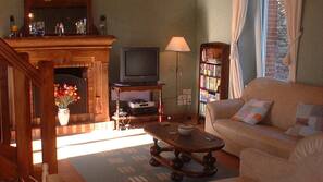 Télévision, cheminée, console de jeux vidéo, lecteur de DVD
