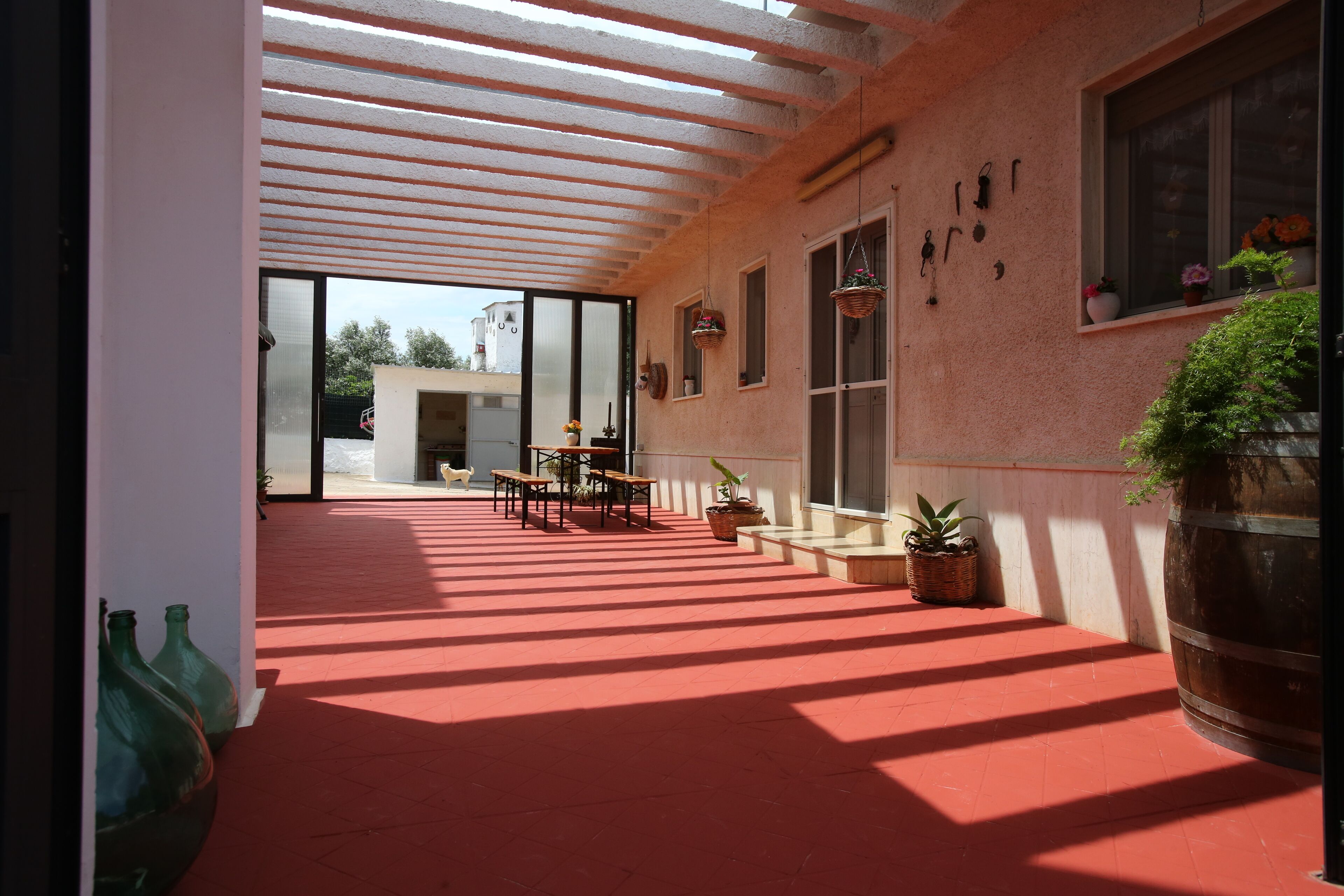 Splendid Farmhouse In Olive Grove 4 Km From Torre Guaceto In San