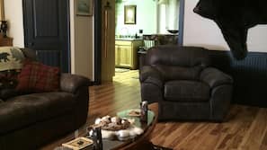 TV, fireplace, DVD player, stereo