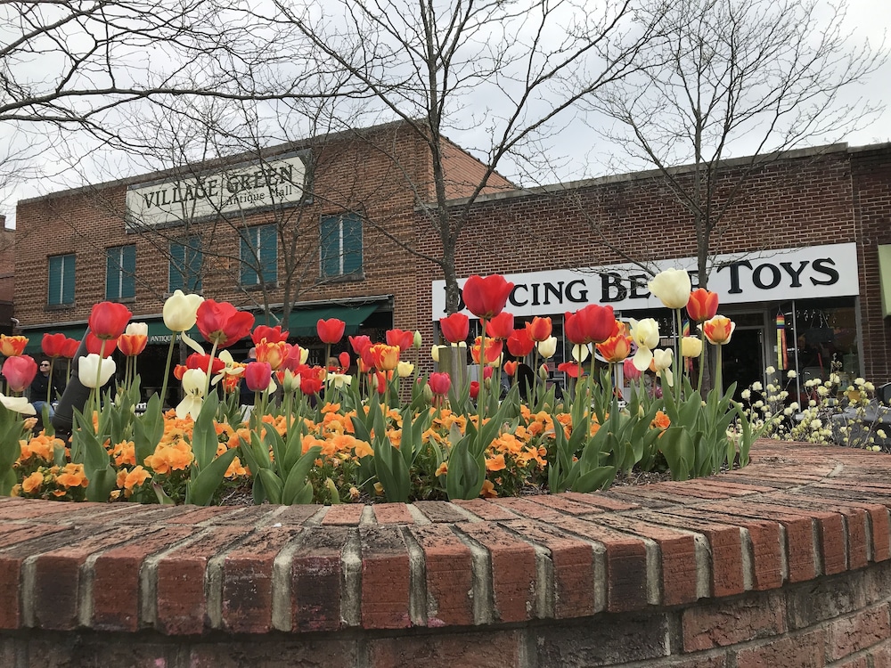 Private, pet friendly lake...secluded and 1 mile to Main St ... perfect location