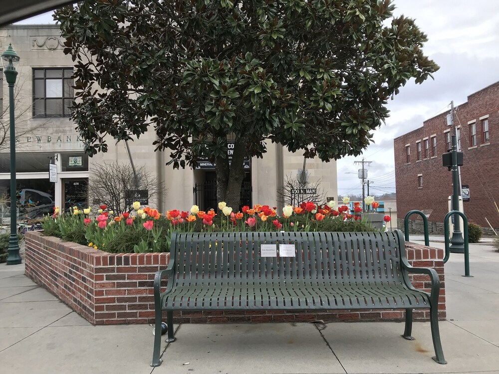 Private, pet friendly lake...secluded and 1 mile to Main St ... perfect location