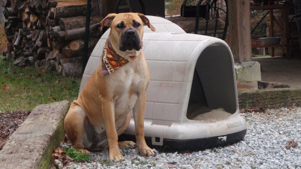 Private, pet friendly lake...secluded and 1 mile to Main St ... perfect location