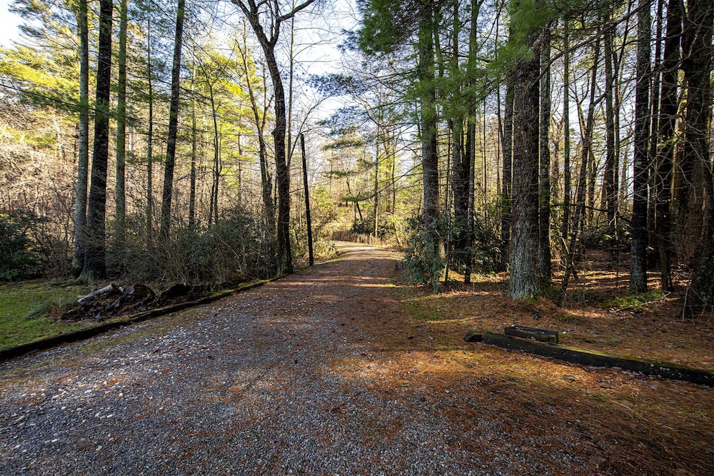 Private, pet friendly lake...secluded and 1 mile to Main St ... perfect location