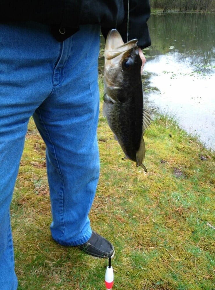 Private, pet friendly lake...secluded and 1 mile to Main St ... perfect location