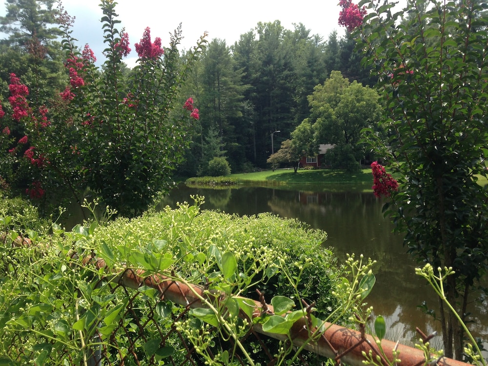 Private, pet friendly lake...secluded and 1 mile to Main St ... perfect location