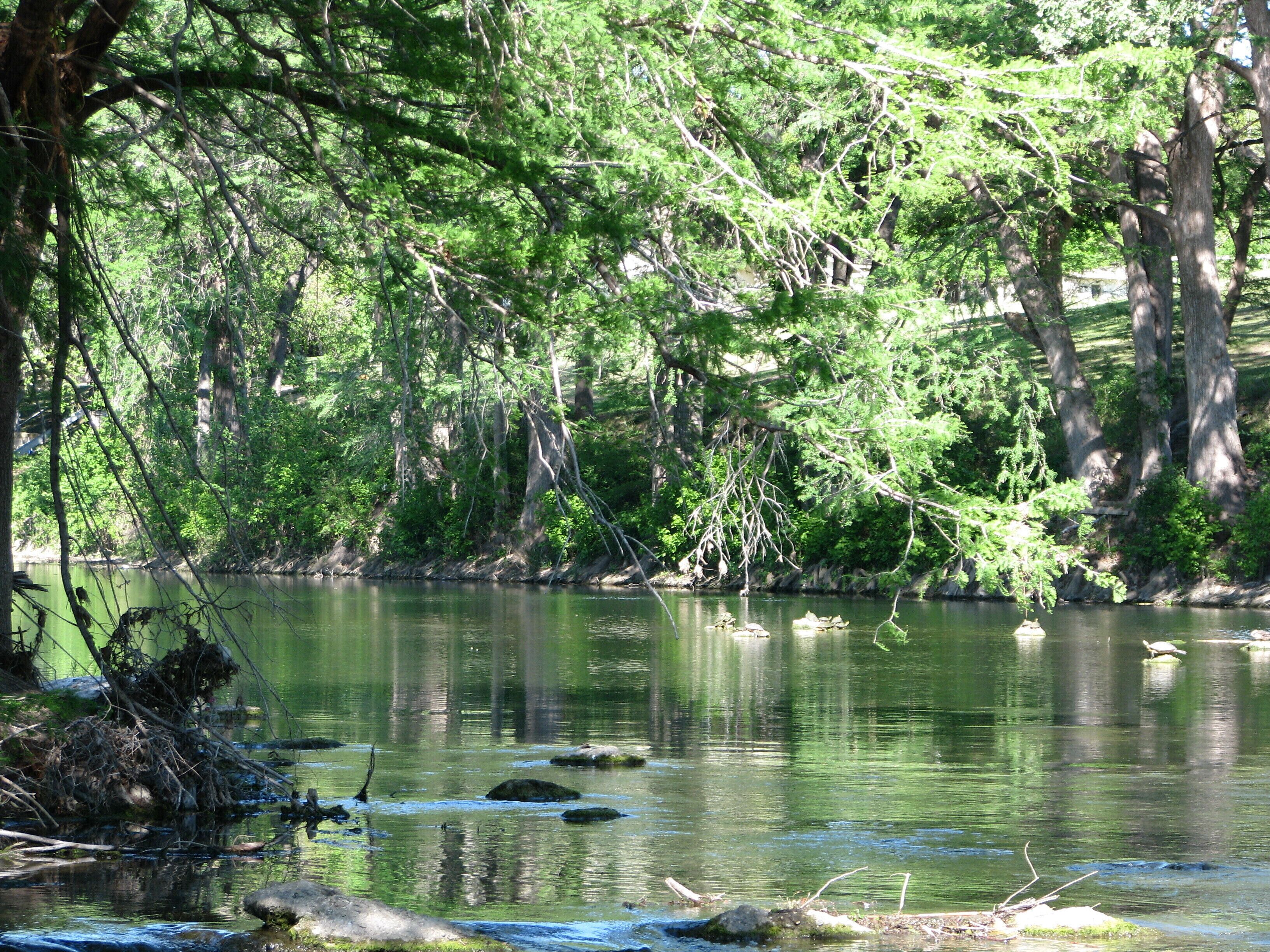 Treetop Retreat On The Guadalupe In New Braunfels Ultra Private End Unit In New Braunfels Tx Expedia