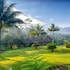 MesaStila Resort and Spa in Bedono, Indonesia