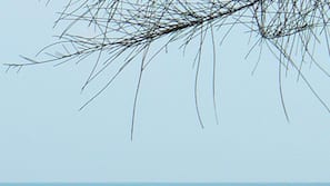 Am Strand, Liegestühle, Strandbar