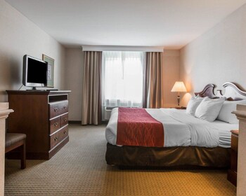 Comfort Inn Suites East Greenbush Albany Albany 2020 Room