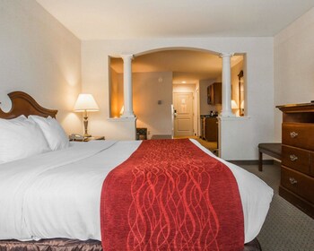 Comfort Inn Suites East Greenbush Albany Albany 2020 Room