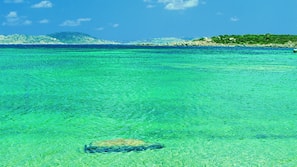 Una spiaggia nelle vicinanze, teli da spiaggia, un bar sulla spiaggia