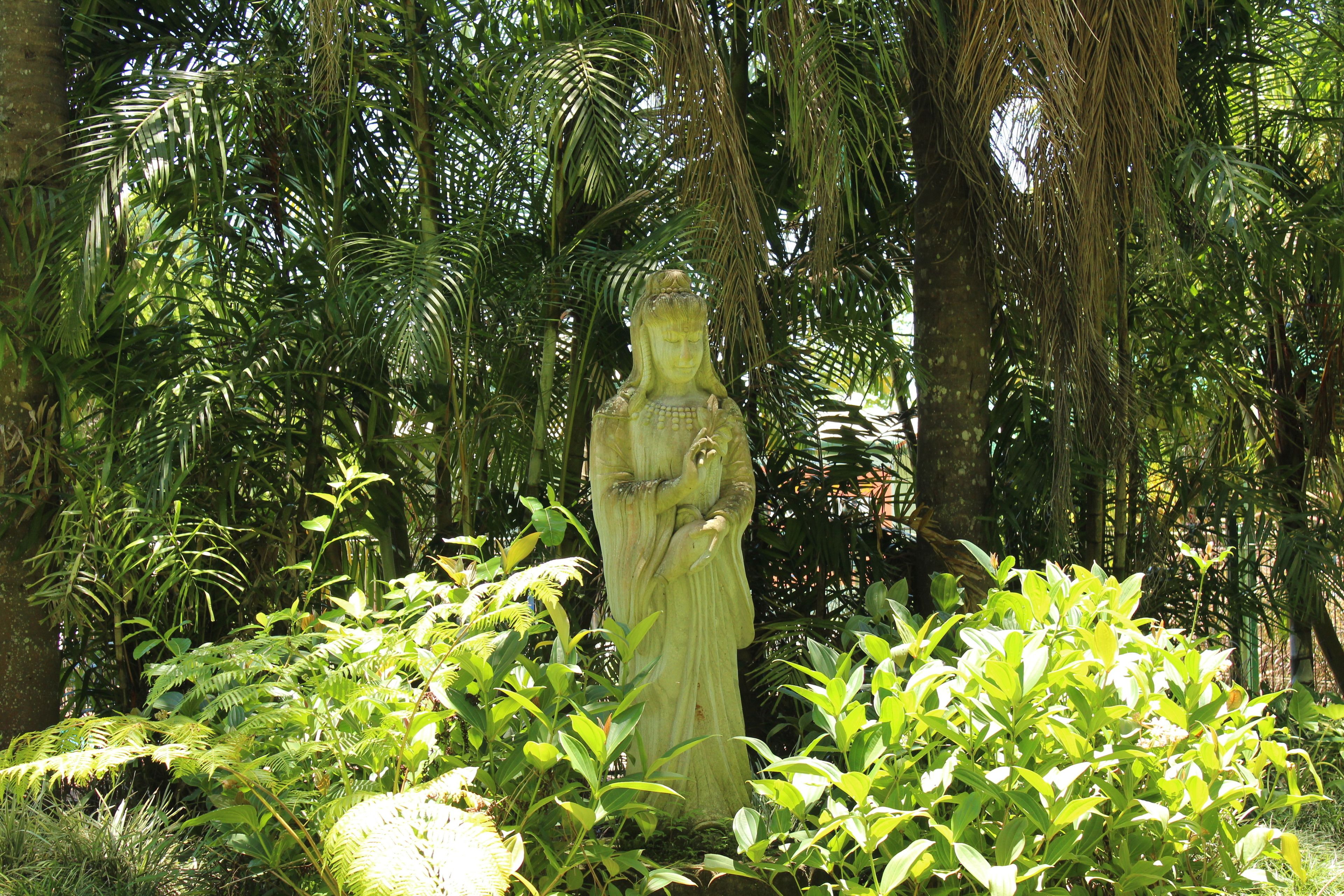 Atherton Rainforest Motor Inn