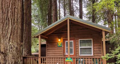 Emerald Forest Cabins