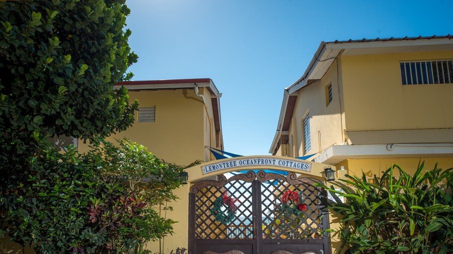 Lemontree Oceanfront Cottages