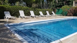 Outdoor pool, sun loungers